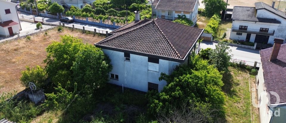 Maison T3 à São Martinho de Antas e Paradela de Guiães de 269 m²