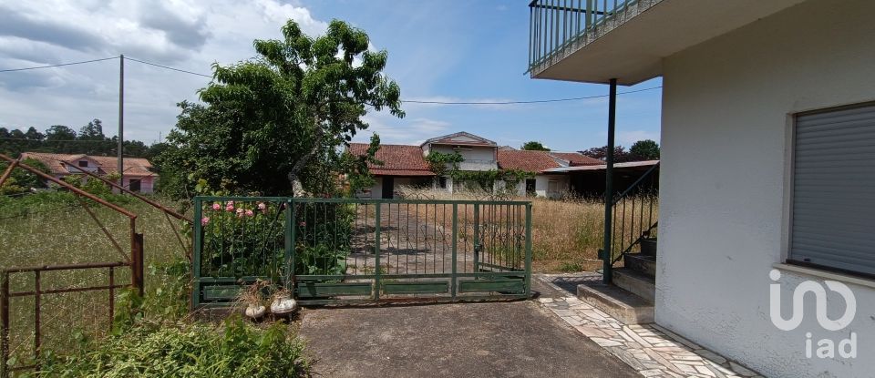 House T6 in São Miguel do Outeiro e Sabugosa of 509 m²