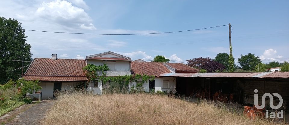 House T6 in São Miguel do Outeiro e Sabugosa of 509 m²