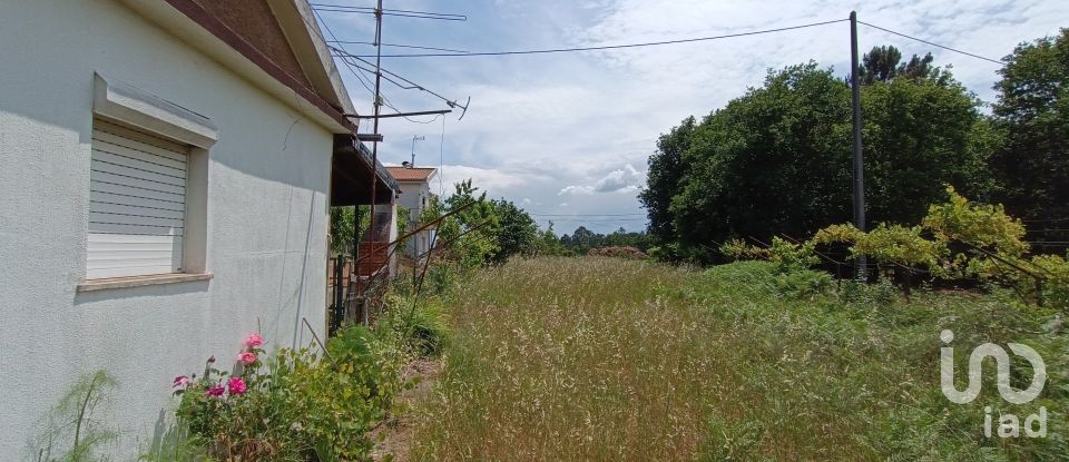 House T6 in São Miguel do Outeiro e Sabugosa of 509 m²