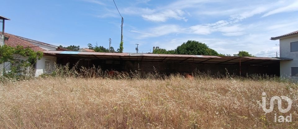House T6 in São Miguel do Outeiro e Sabugosa of 509 m²