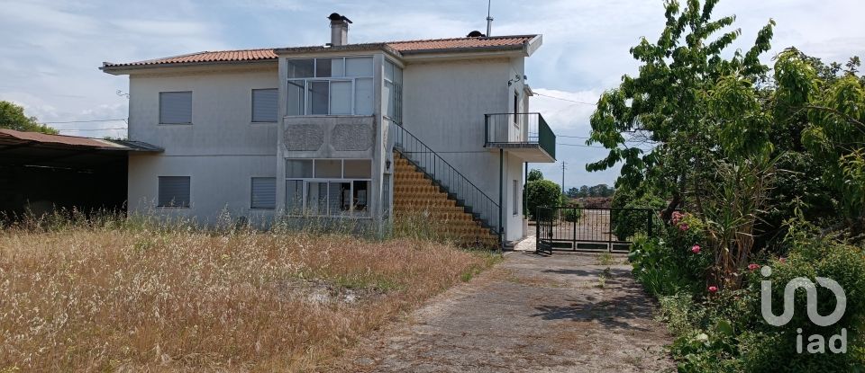 House T6 in São Miguel do Outeiro e Sabugosa of 509 m²