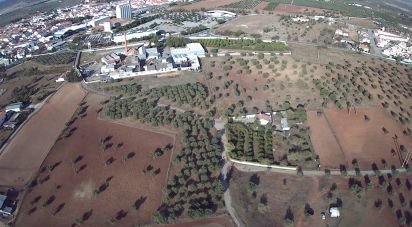 Terrain à Moura (Santo Agostinho e São João Baptista) e Santo Amador de 72 125 m²