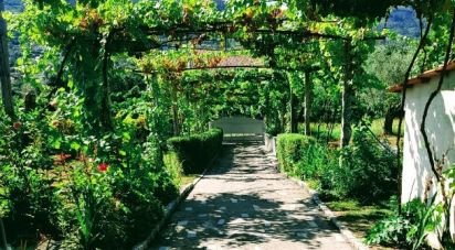 Ferme T5 à Beiral do Lima de 10 000 m²