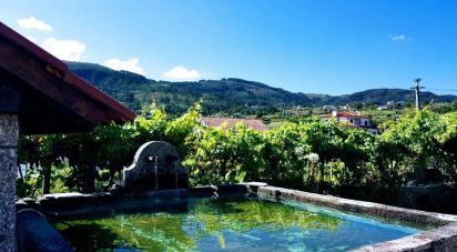 Ferme T5 à Beiral do Lima de 10 000 m²