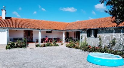 Ferme T5 à Beiral do Lima de 10 000 m²