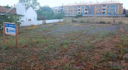 Terrain à bâtir à Arruda dos Vinhos de 5 083 m²