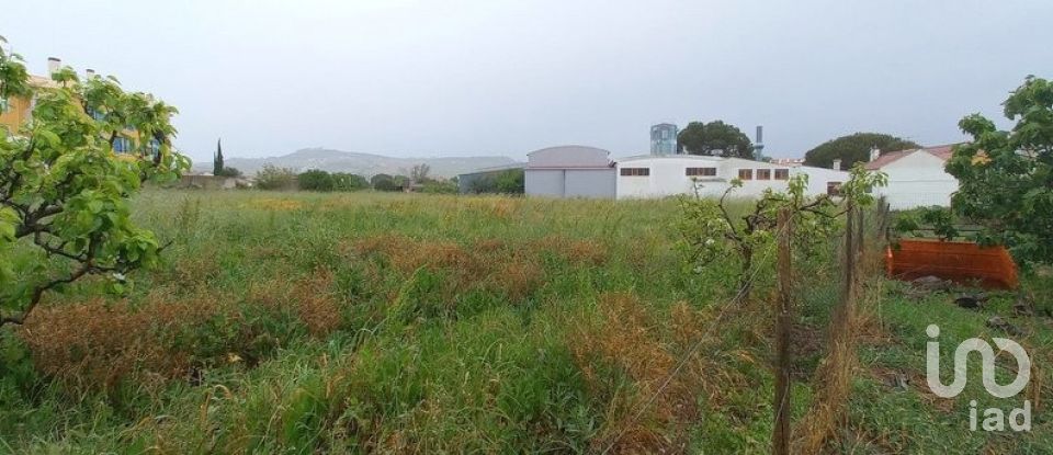 Building land in Arruda dos Vinhos of 5,083 m²