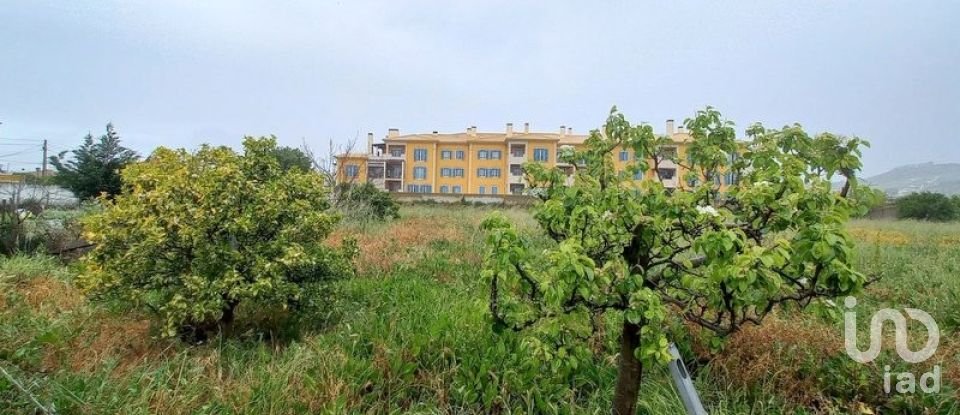Terreno para construção em Arruda dos Vinhos de 5 083 m²