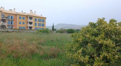 Terrain à bâtir à Arruda dos Vinhos de 5 083 m²