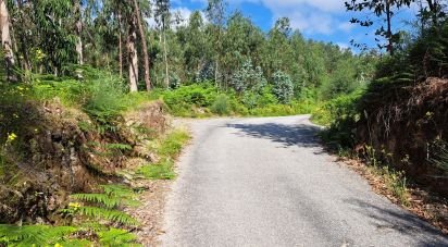 Terrain à bâtir à Dossãos de 41 305 m²