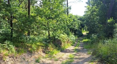 Terrain à bâtir à Dossãos de 41 305 m²