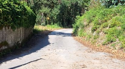 Terrain à bâtir à Dossãos de 41 305 m²