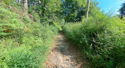 Terrain à bâtir à Dossãos de 41 305 m²