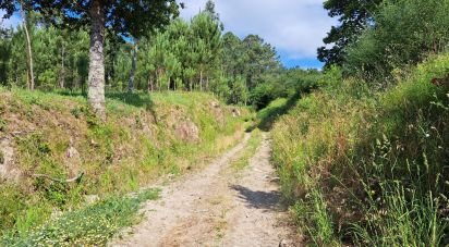 Terrain à bâtir à Dossãos de 41 305 m²