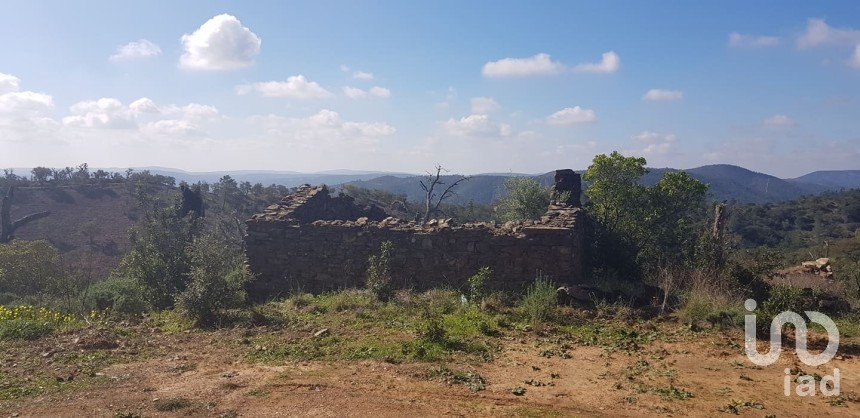 Building plot in Salir of 31,312 m²