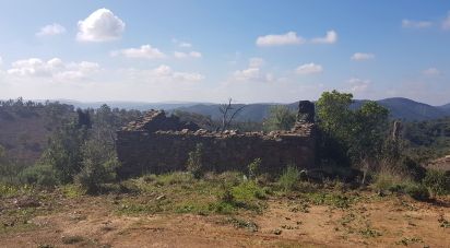 Building plot in Salir of 31,312 m²