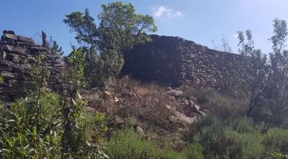 Terrain à bâtir à Salir de 31 312 m²