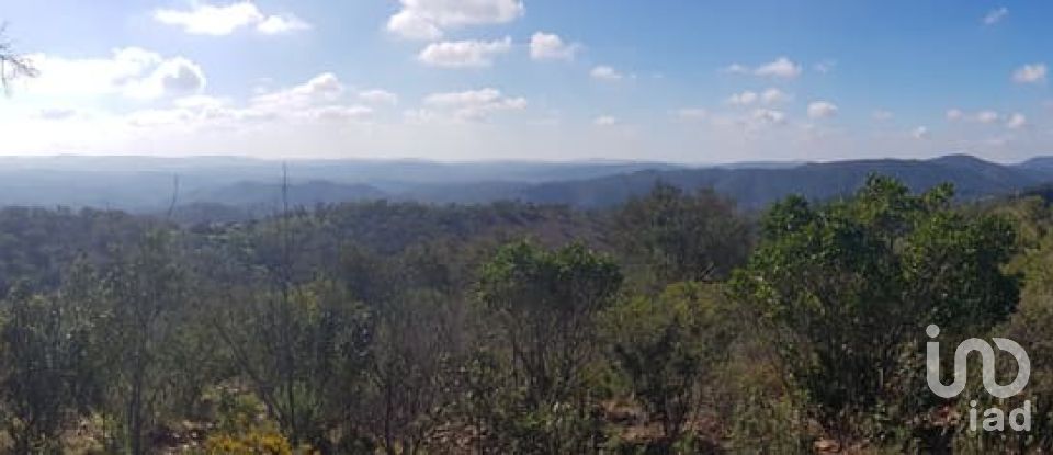 Building plot in Salir of 31,312 m²