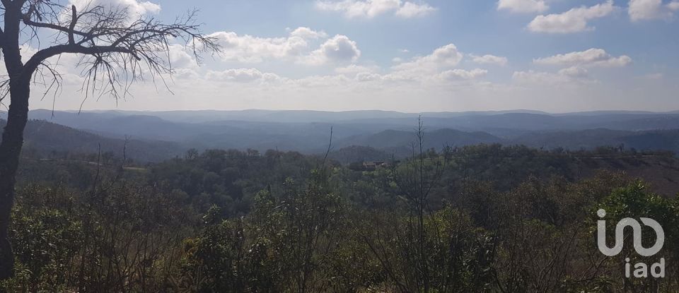 Building plot in Salir of 31,312 m²