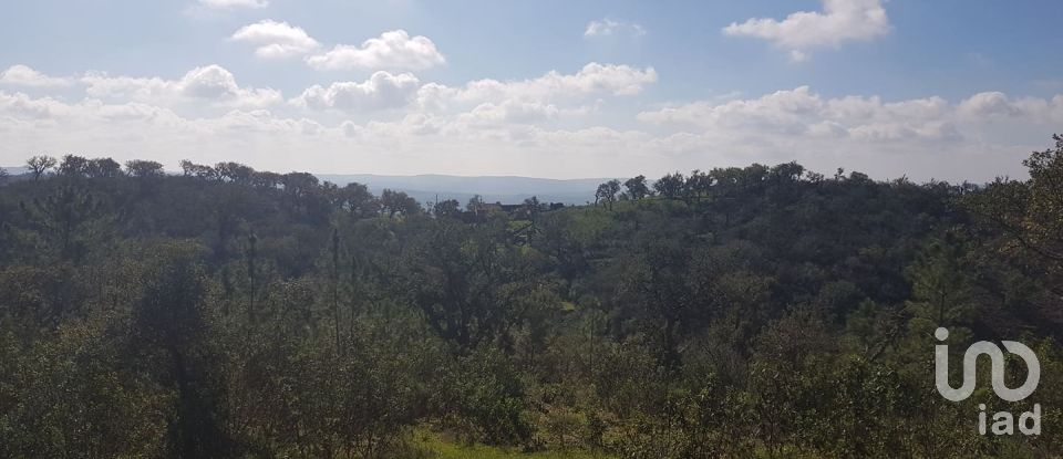 Building plot in Salir of 31,312 m²