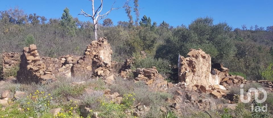 Building plot in Salir of 31,312 m²