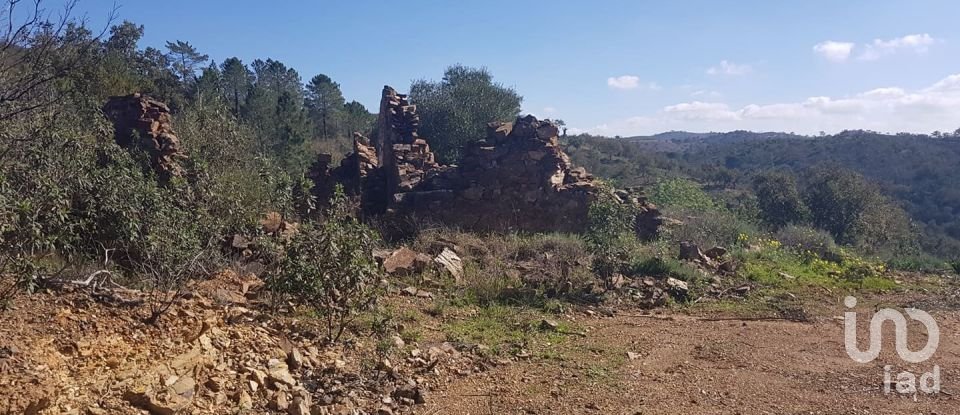 Building plot in Salir of 31,312 m²