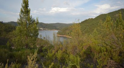 Terrain à Sertã de 9 450 m²