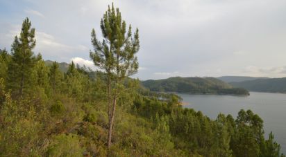 Terrain à Sertã de 9 450 m²