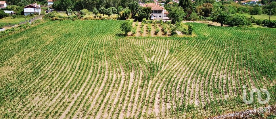 Herdade T8 em Cardielos e Serreleis de 872 m²