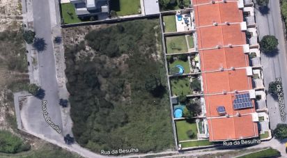 Terrain à bâtir à Alvito (São Pedro E São Martinho) E Couto de 820 m²