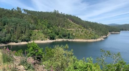 Terrain à Pedrógão Grande de 13 600 m²