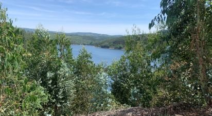 Terrain à Pedrógão Grande de 13 600 m²