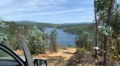 Terrain à Pedrógão Grande de 13 600 m²