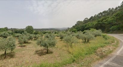 Agricultural land in São Miguel, Santa Eufémia e Rabaçal of 6,680 m²