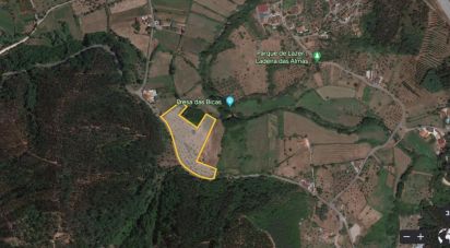Terrain agricole à São Miguel, Santa Eufémia e Rabaçal de 6 680 m²