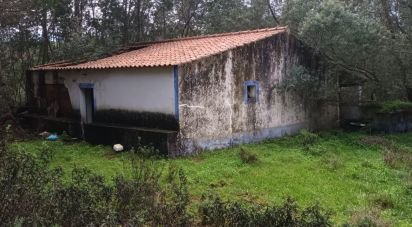 Maison rustique T3 à São Teotónio de 150 m²