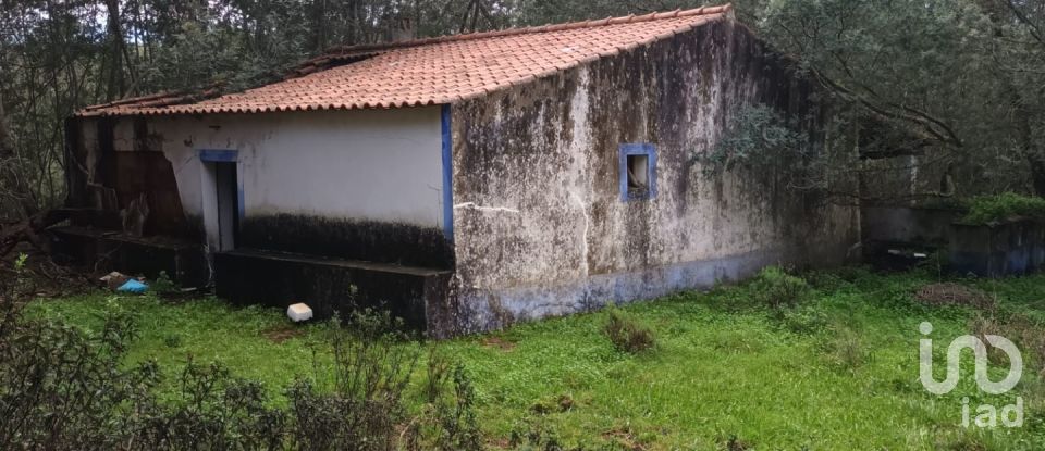 Maison de campagne T3 à São Teotónio de 150 m²