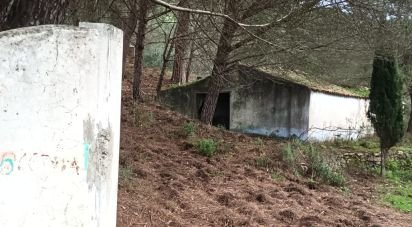 Maison rustique T3 à São Teotónio de 150 m²