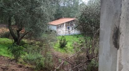 Maison rustique T3 à São Teotónio de 150 m²