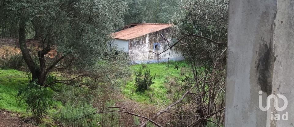 Country home T3 in São Teotónio of 150 m²