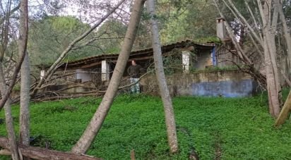 Maison rustique T3 à São Teotónio de 150 m²