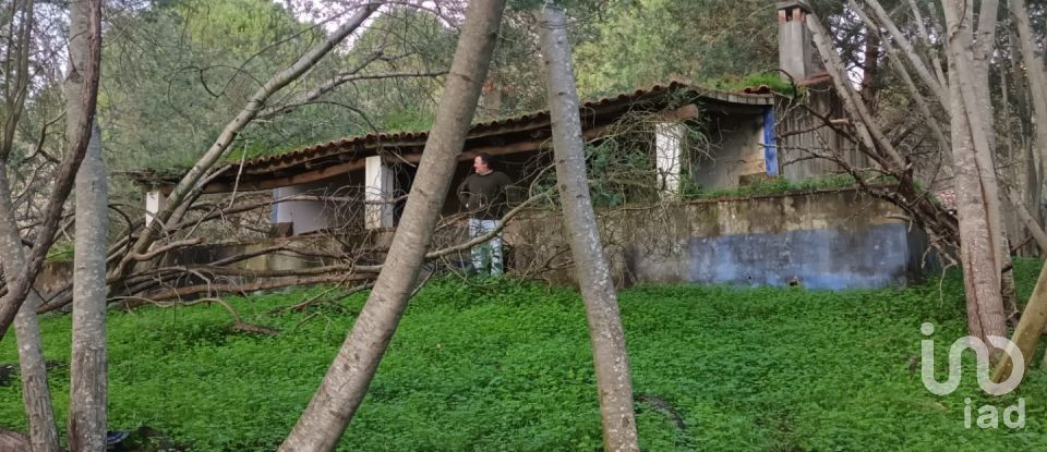 Country home T3 in São Teotónio of 150 m²