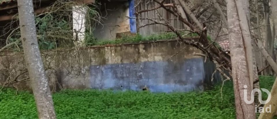 Country home T3 in São Teotónio of 150 m²