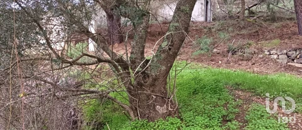 Country home T3 in São Teotónio of 150 m²