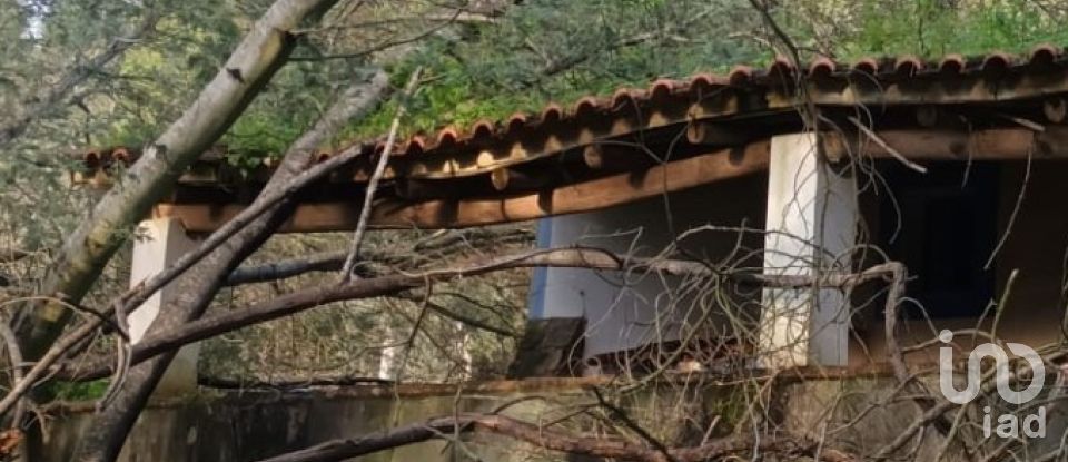 Country home T3 in São Teotónio of 150 m²