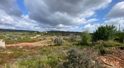 Land in Mexilhoeira Grande of 20,056 m²