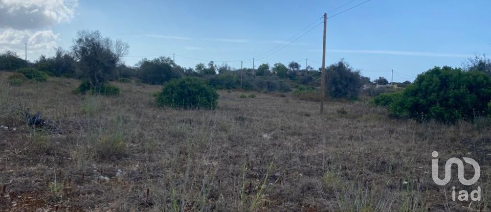 Land in Mexilhoeira Grande of 20,056 m²