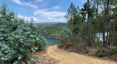 Terrain à Pedrógão Grande de 13 600 m²