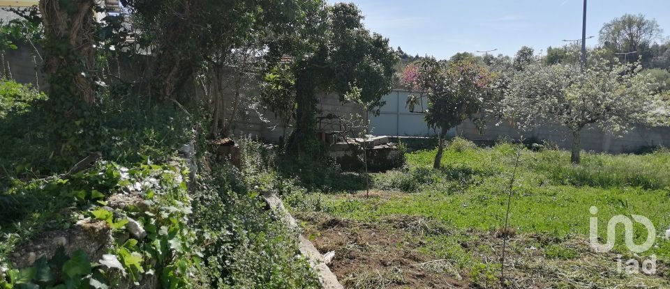 Gîte T3 à Ansião de 169 m²